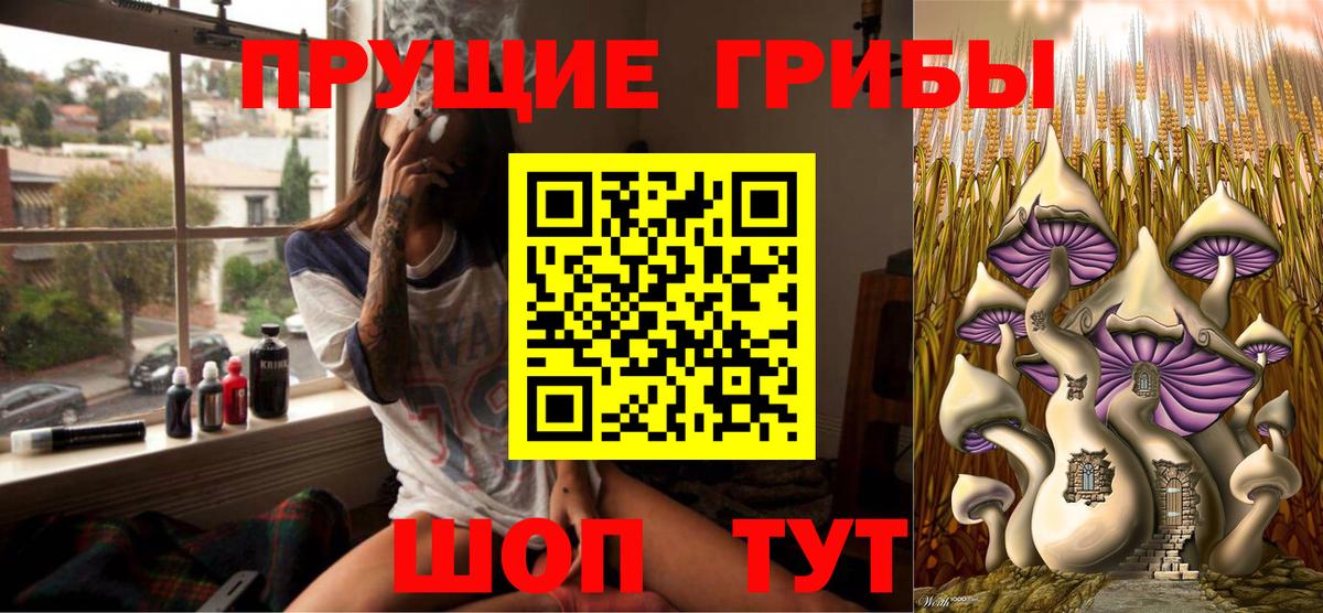 Татарск  Псилоцибиновые грибы мицелий  Вход с VPN 